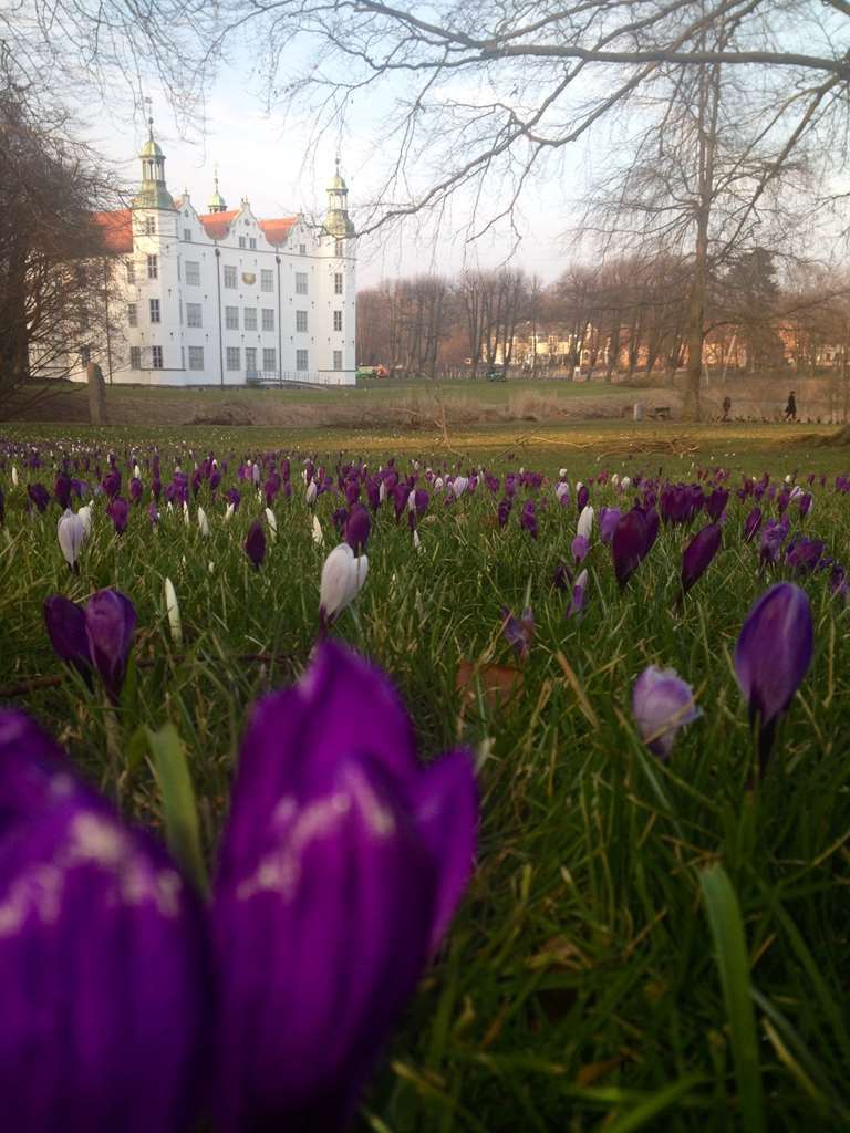 Ringhotel Аренсбург Экстерьер фото